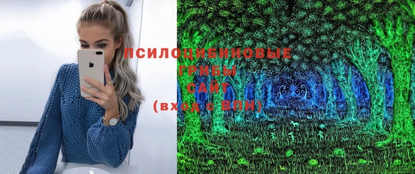 гашик Дмитров
