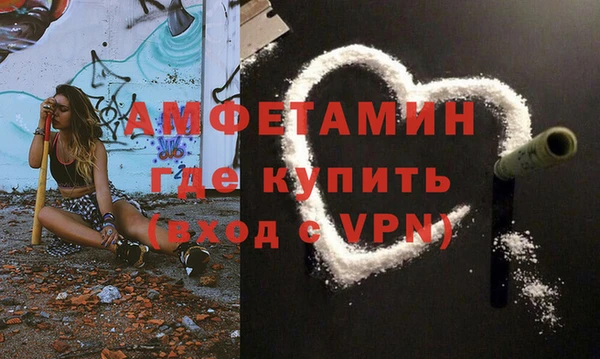 гашик Дмитров