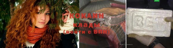 гашик Дмитров