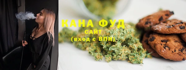 гашик Дмитров