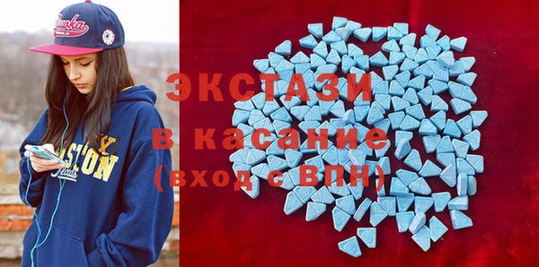 гашик Дмитров