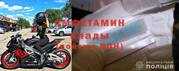 гашик Дмитров