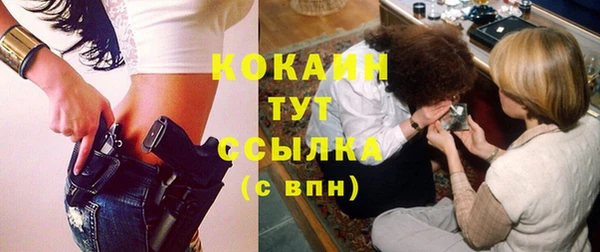 гашик Дмитров