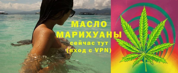 гашик Дмитров