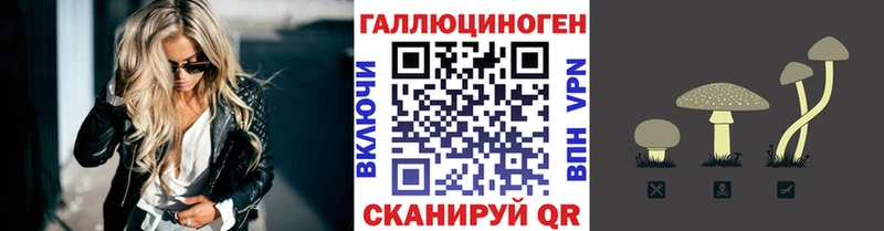 Купить закладки  Краснознаменск  Галлюциногенные грибы мицелий 